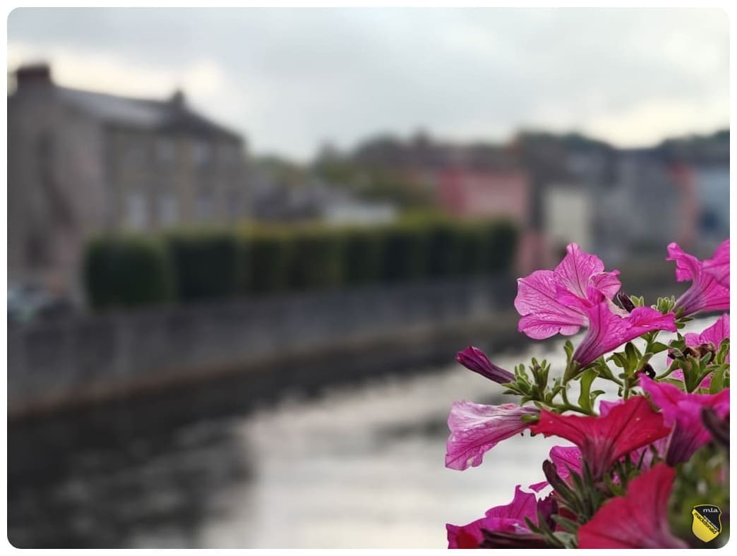 The building of our English school in Kilkenny